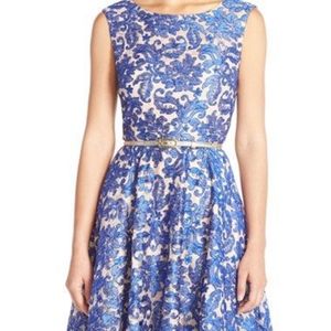 Eliza J Royal Blue Lace A-Line Knee-Length Dress